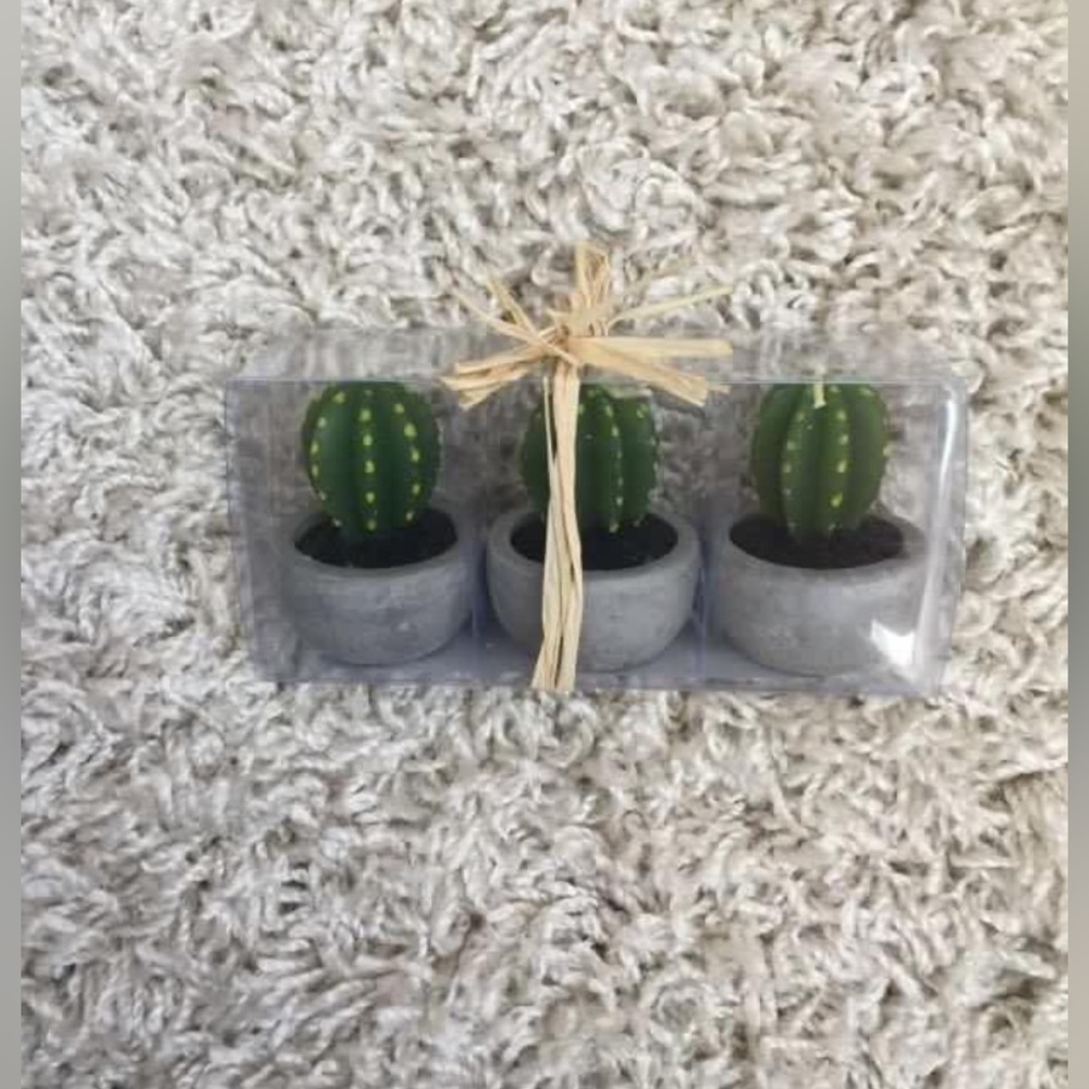 Package of three mini cactus candles